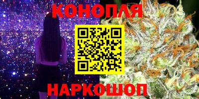 шишки Бийск